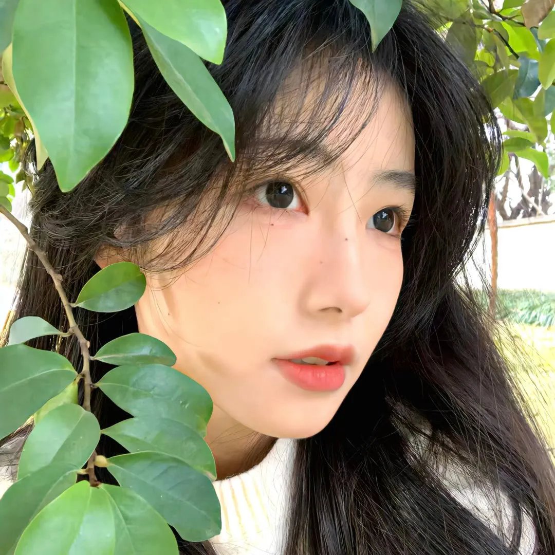 白日青春